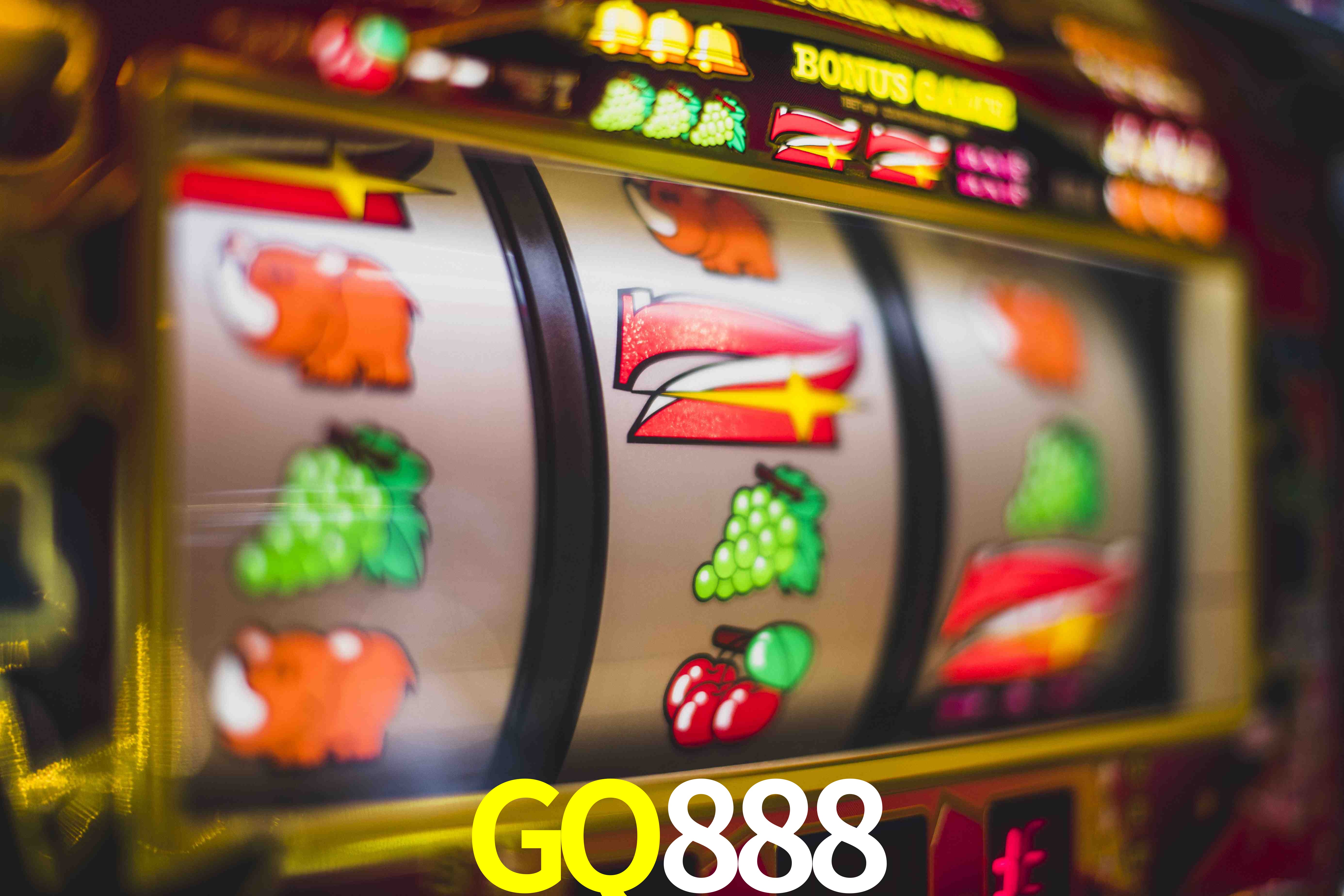 Privilégios VIP GQ888